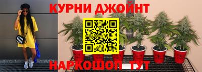 СК Лесосибирск