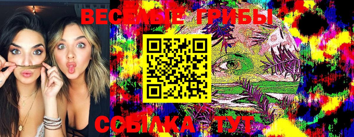 купить наркоту  Псилоцибиновые грибы MAGIC MUSHROOMS  Краснокамск  Вход с VPN  Галлюциногенные грибы Psilocybine cubensis 